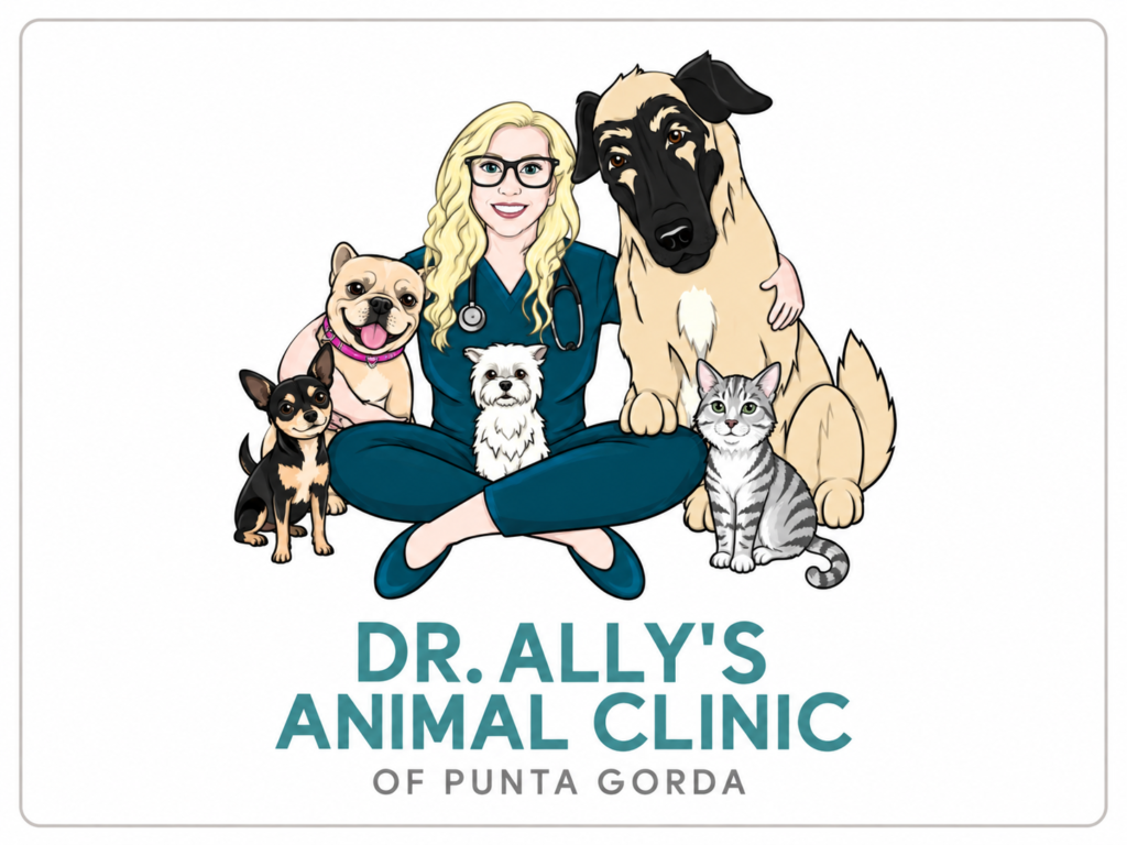 Dr. Ally’s Animal Clinic